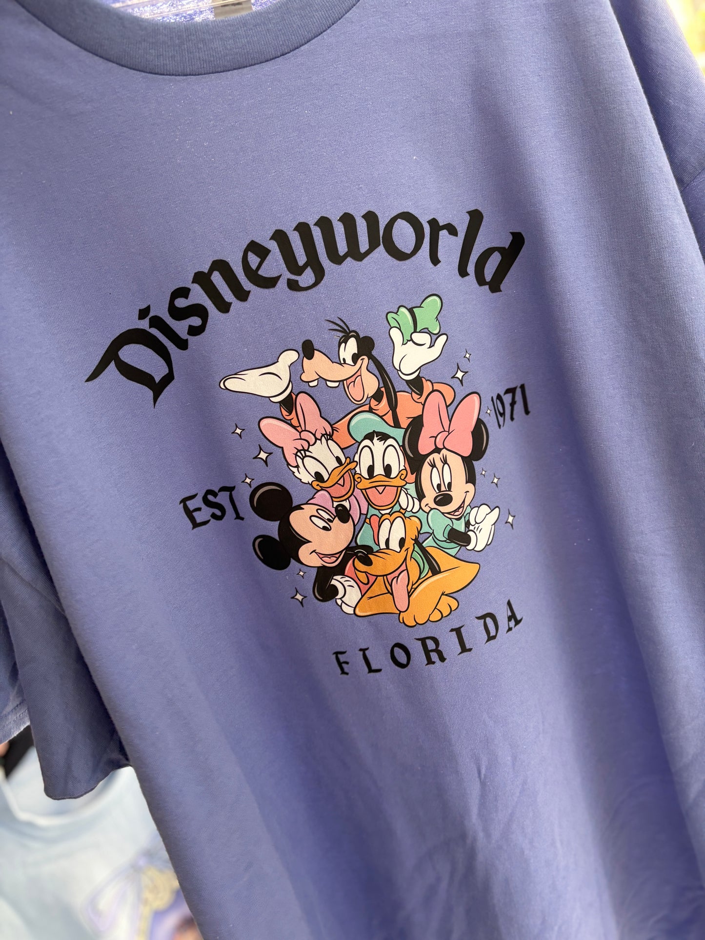 Disneyworld Florida