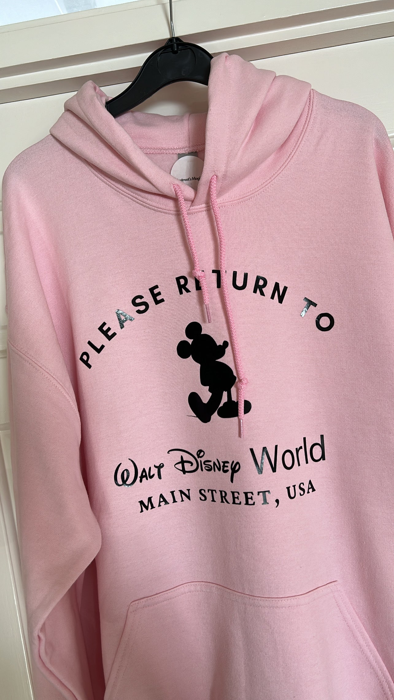 ‘Please return to WDW'