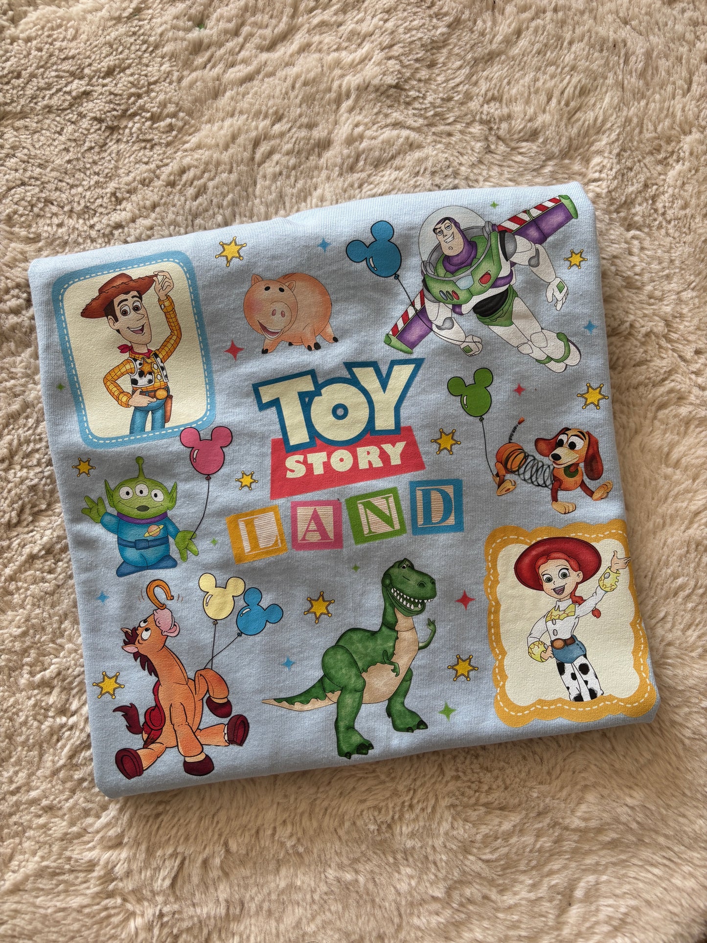 Toy Story Land