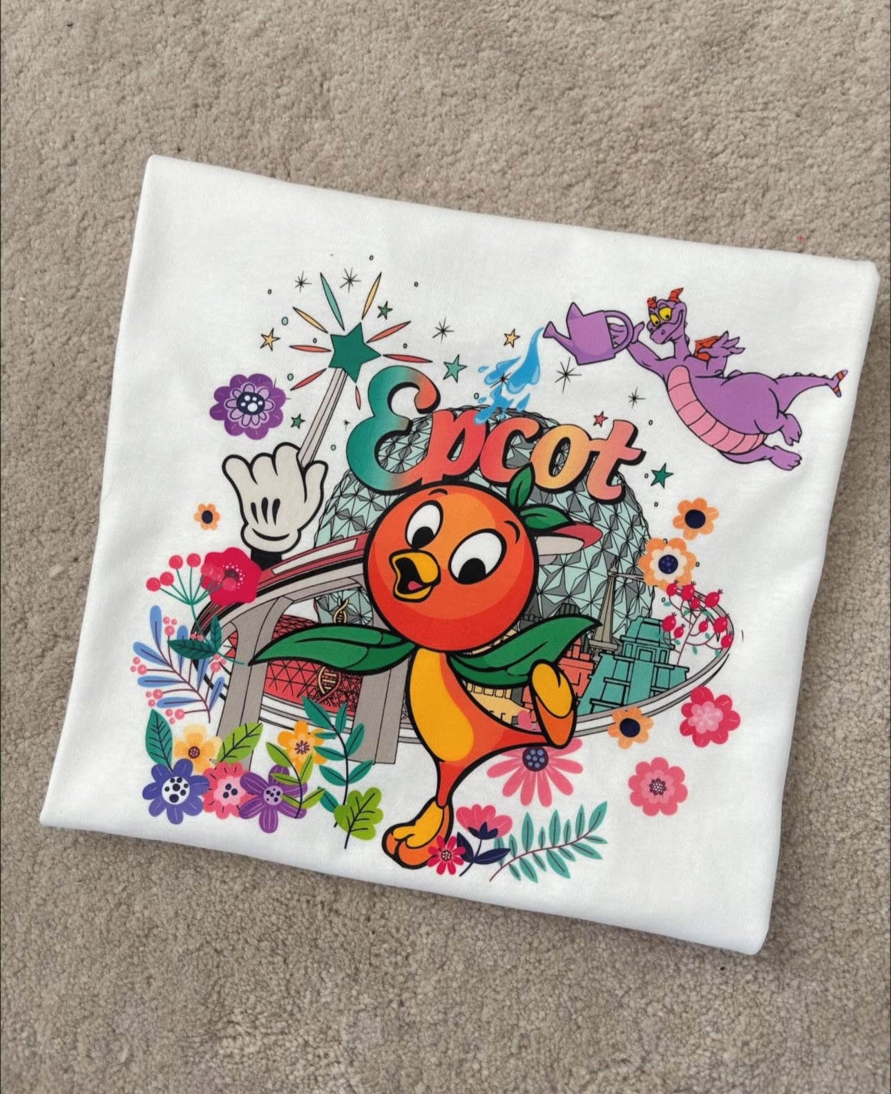 Orange Bird Epcot