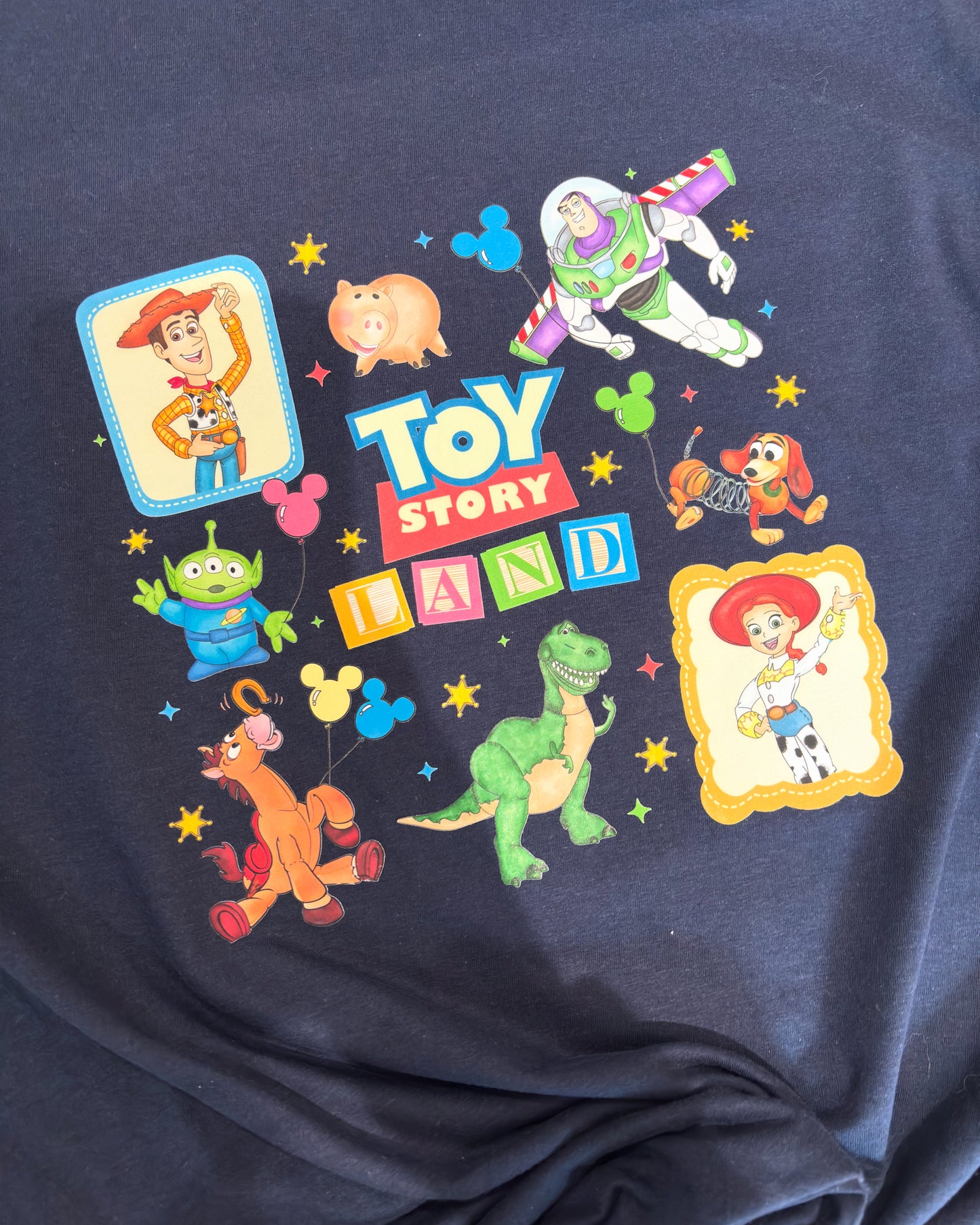 Toy Story Land