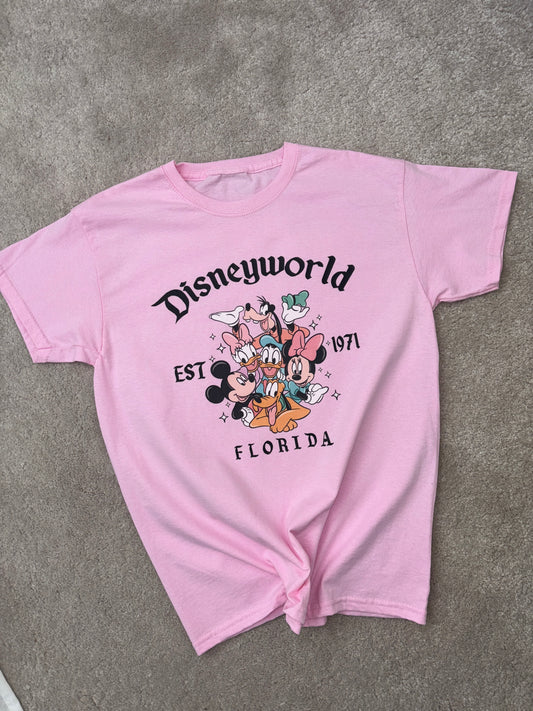 Disneyworld Florida