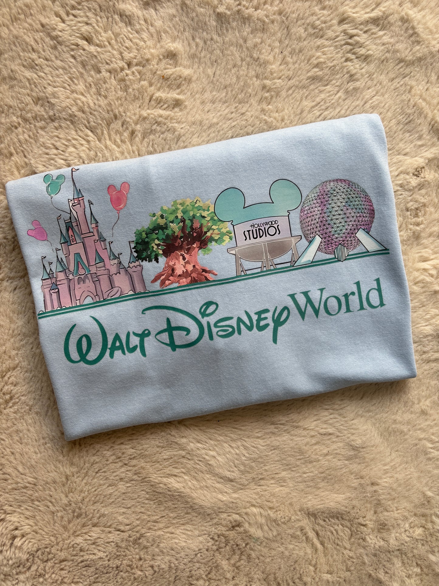 Walt Disney World 4 parks