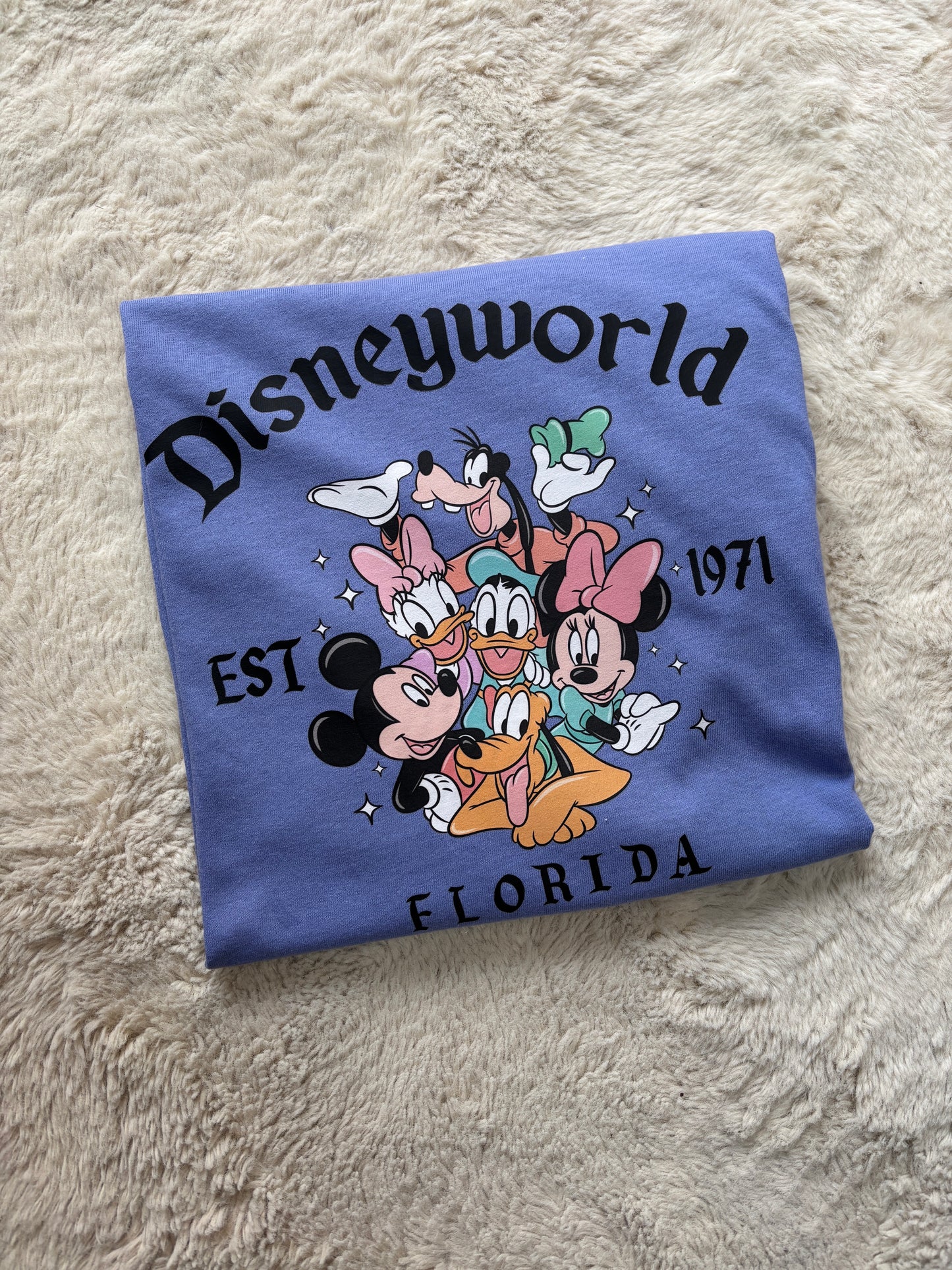 Disneyworld Florida
