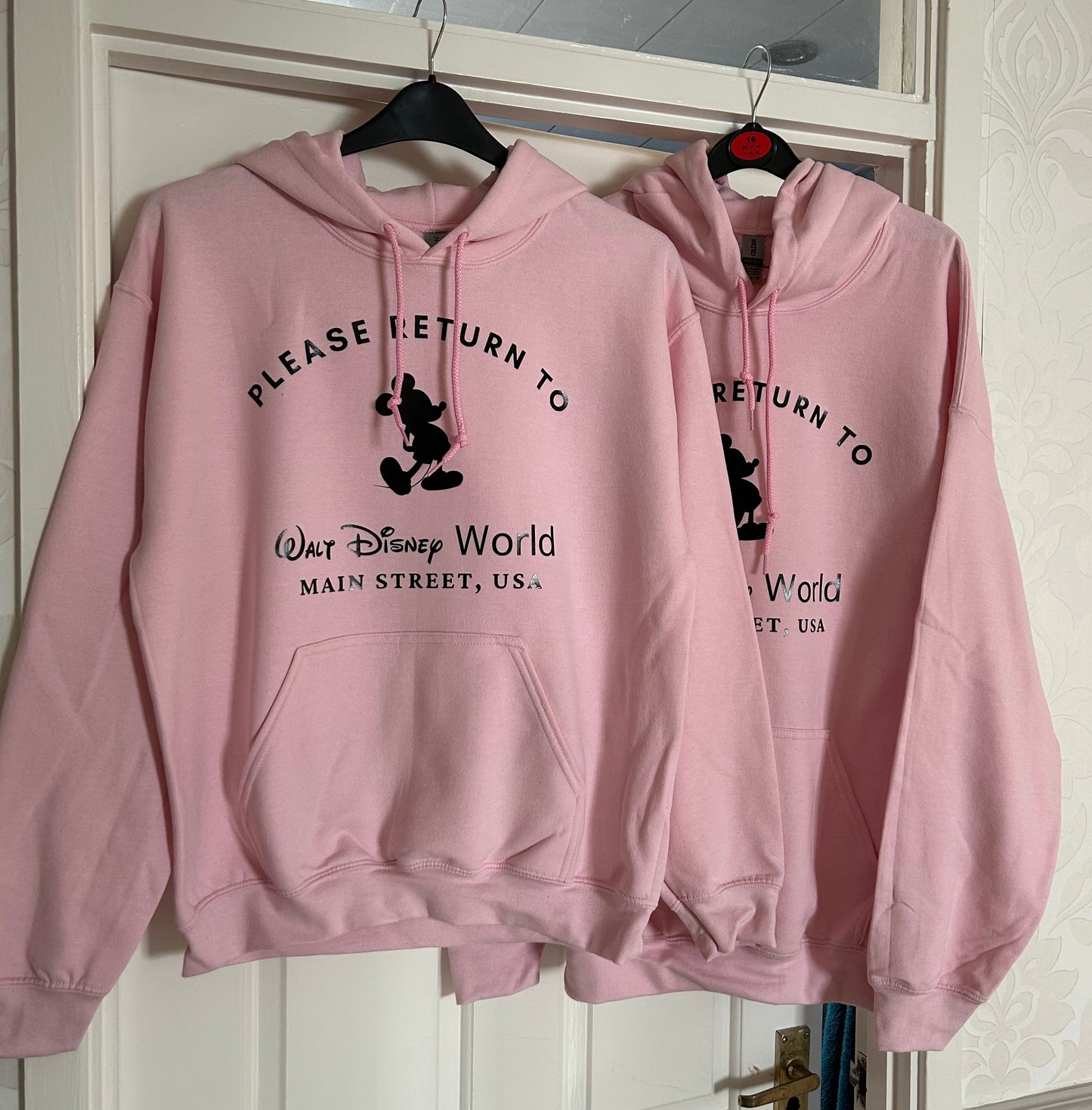 ‘Please return to WDW'
